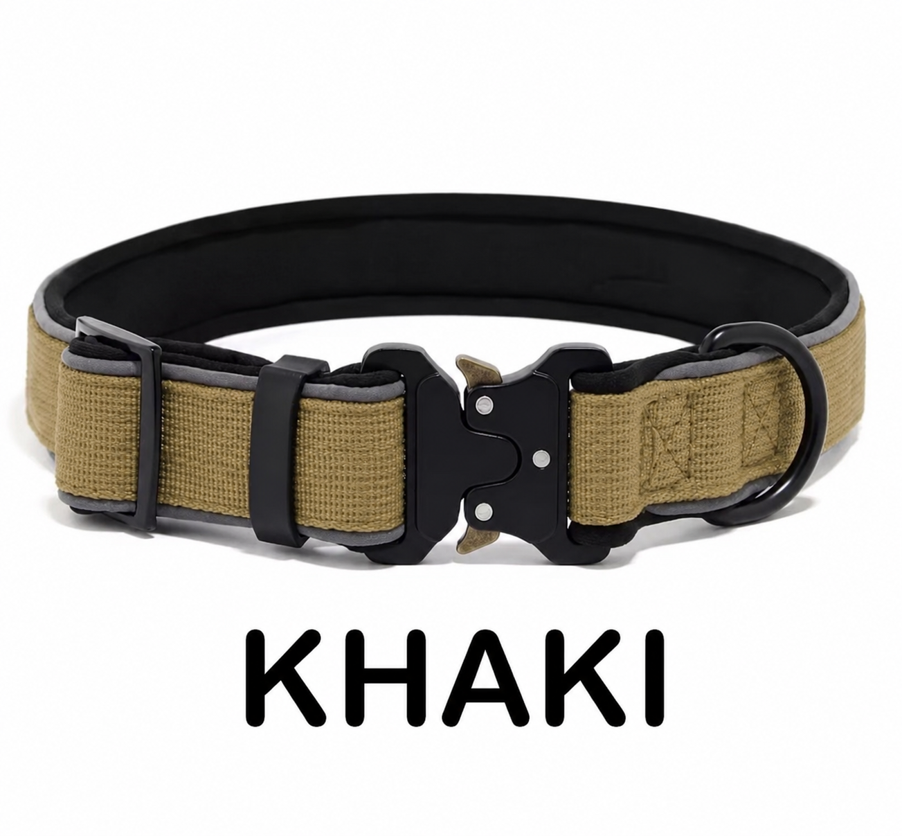 Personalized Dog Collar