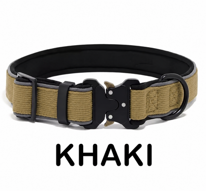 Personalized Dog Collar