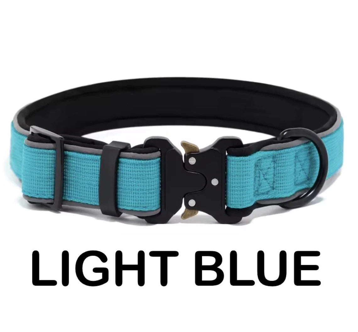 Personalized Dog Collar