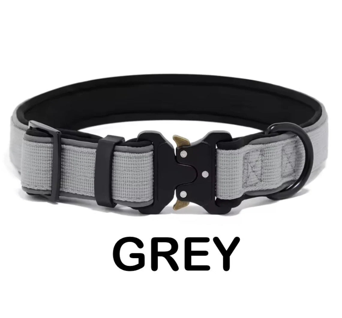 Personalized Dog Collar