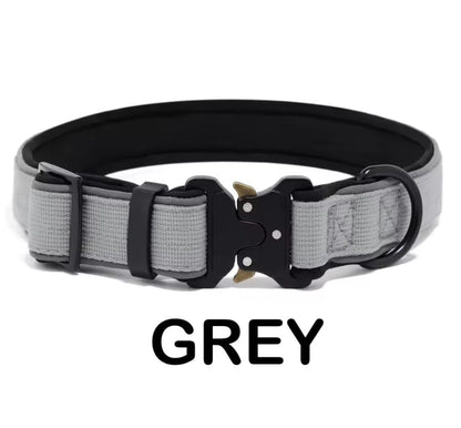 Personalized Dog Collar