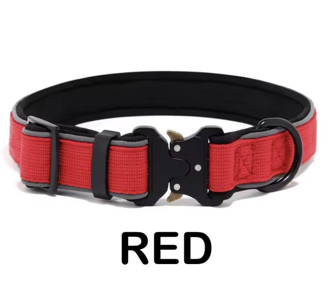 Personalized Dog Collar