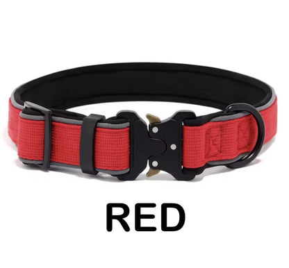 Personalized Dog Collar