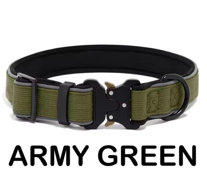 Personalized Dog Collar