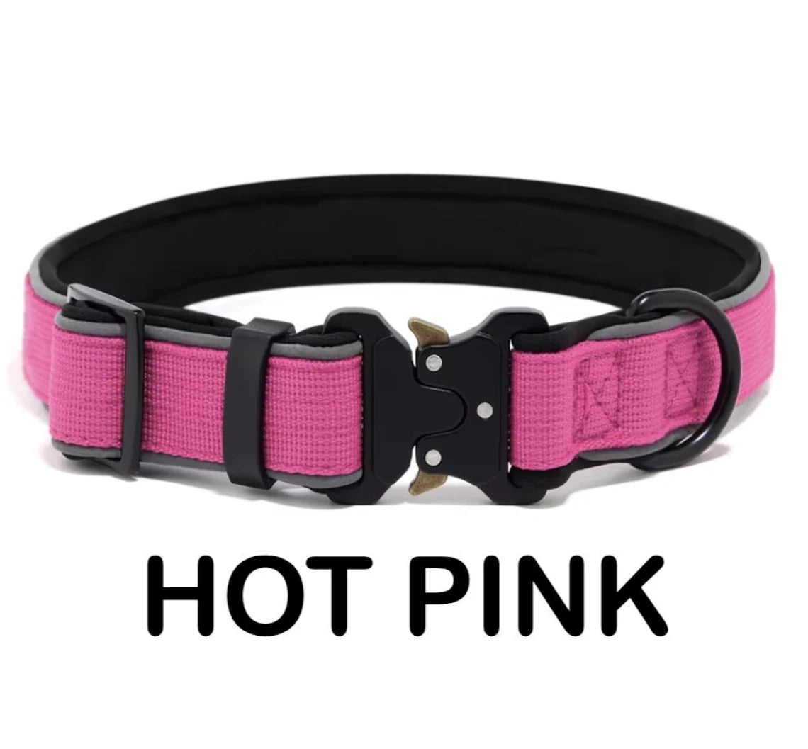 Personalized Dog Collar