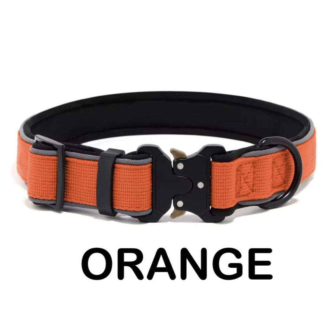 Personalized Dog Collar