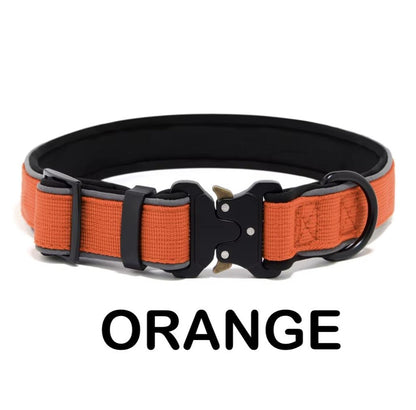 Personalized Dog Collar