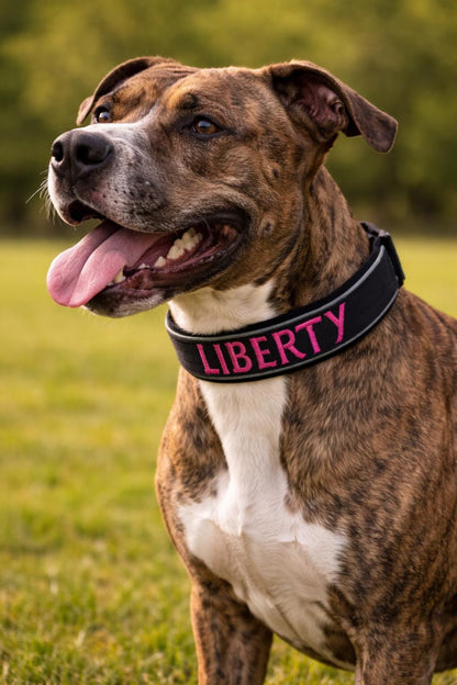 Personalized Dog Collar