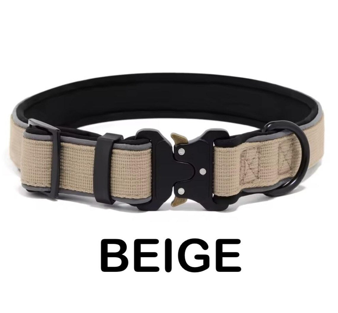 Personalized Dog Collar