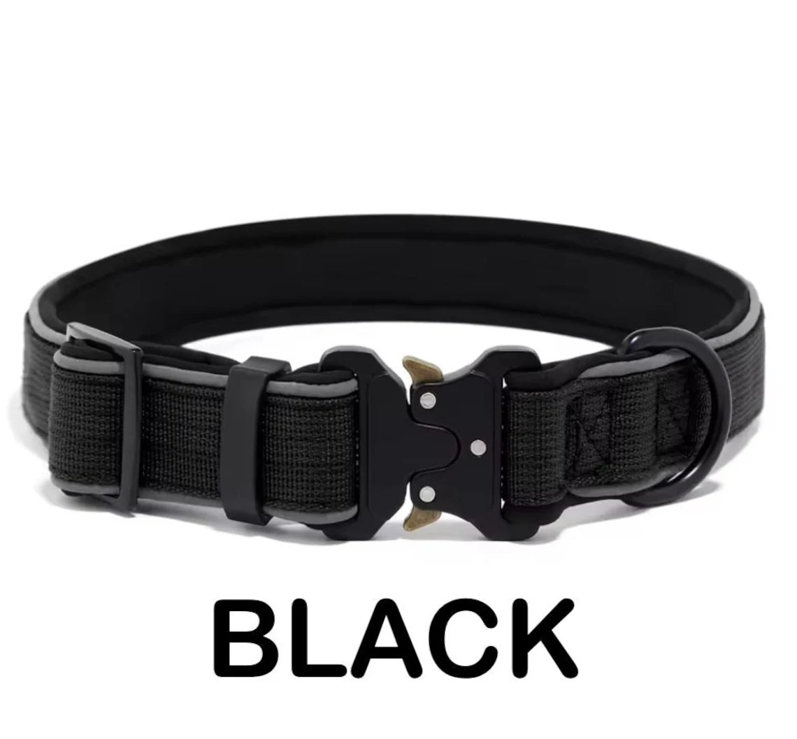 Personalized Dog Collar