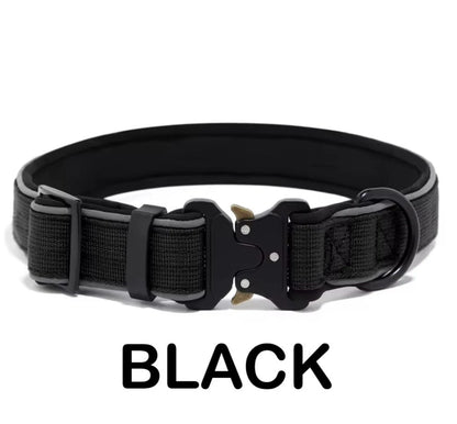 Personalized Dog Collar