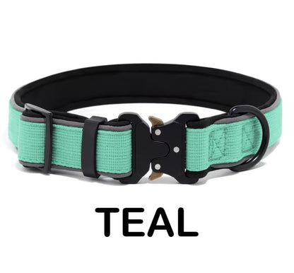 Personalized Dog Collar
