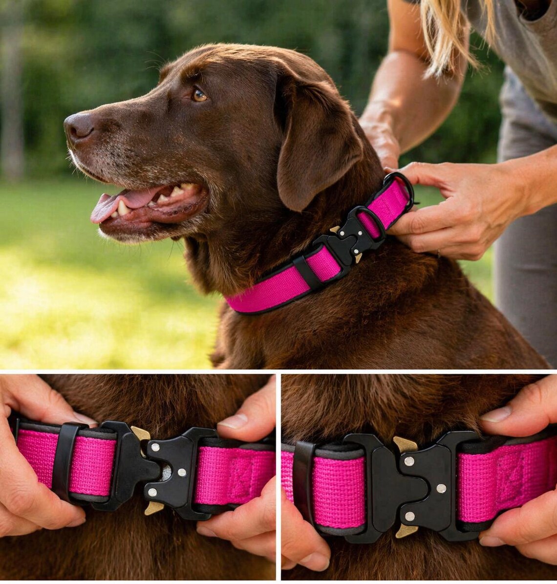 Personalized Dog Collar
