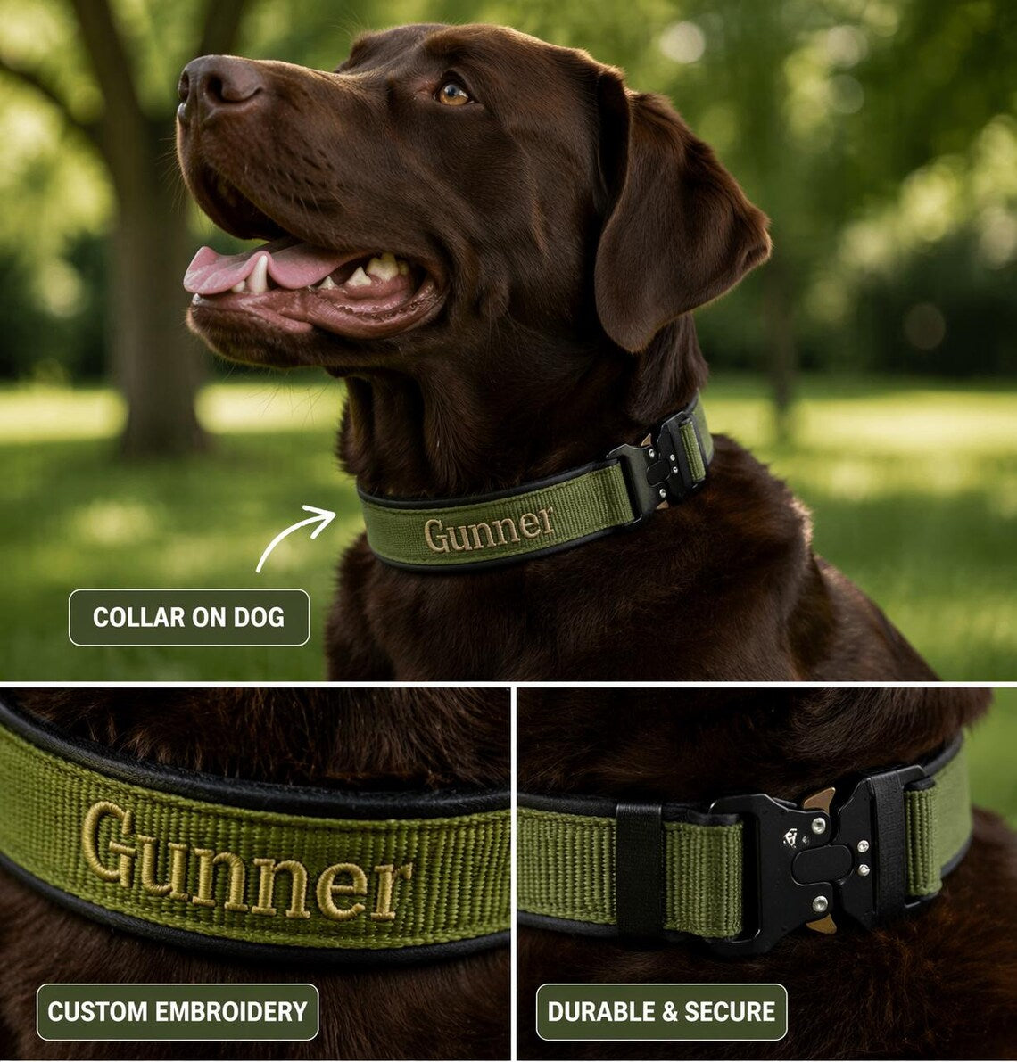 Personalized Dog Collar
